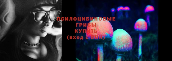 эйфоретик Богородск