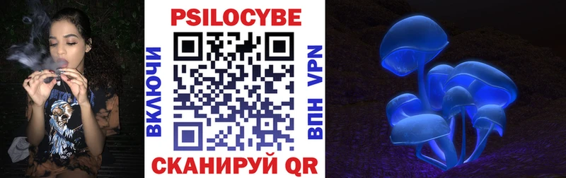 Галлюциногенные грибы Psilocybine cubensis  Обь 