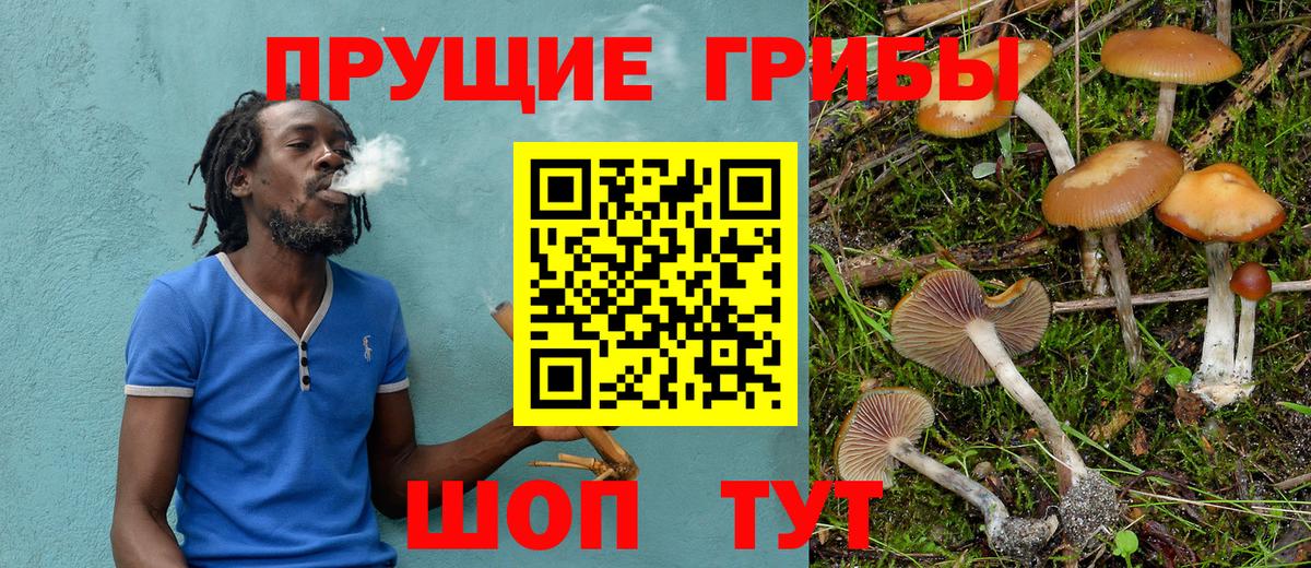 Галлюциногенные грибы Psilocybe  Вход с VPN  Галлюциногенные грибы мицелий  купить наркотик  Обь 